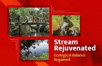 Stream rejuvenated -Ecological balance regained