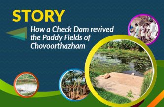 Story of How a Check Dam revived the Paddy fields of Chovoorthazham