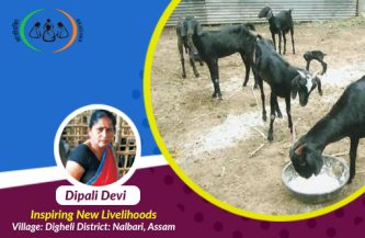 Insuring livestock for livelihoods – Dipali Devi