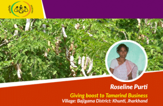Lakhpati through tamarind – Roseline Purti