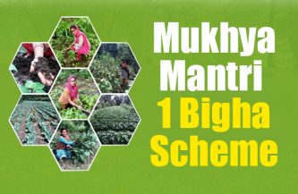 Mukhya Mantri 1 Bigha Scheme for strengthening rural economy