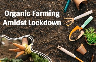 District Administration Sirmaur encouraging people for organic farming amidst lockdown