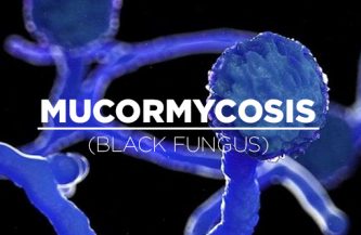 Mucormycosis (Black Fungus)