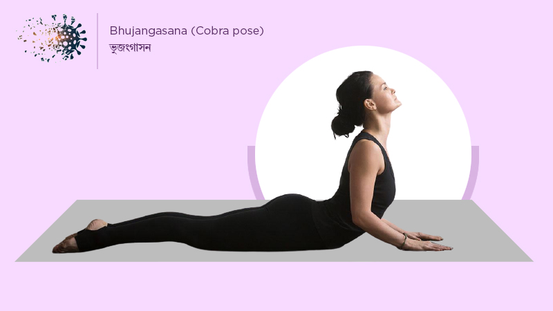 Immunity-Boosting Yoga Poses – Blk and Fit