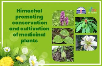 Himachal promoting conservation and cultivation of medicinal plants