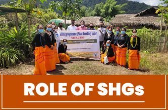 Role of SHGs in empowering the state of Arunachal Pradesh