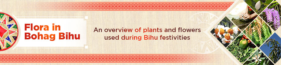 Significance of Flora in Bohag Bihu