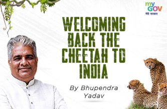 Welcoming back the cheetah to India