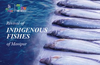 Revival of Indigenous Fishes of Manipur