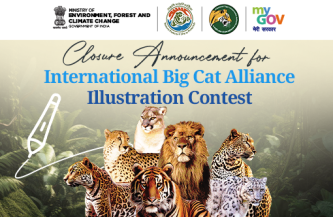 Closure Announcement for International Big Cat Alliance Illustration Contest