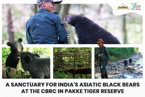 A Sanctuary for India’s Asiatic Black Bears at the CBRC in Pakke Tiger Reserve