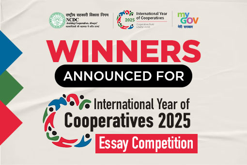 Winners Announced for International Year of Cooperatives 2025 Essay Competition