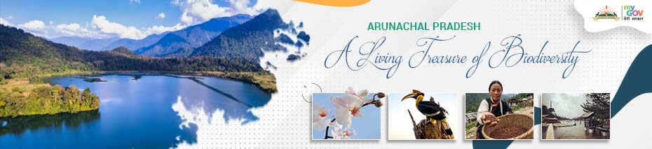 Arunachal Pradesh – A Living Treasure of Biodiversity