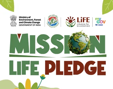 Mission LiFE pledge