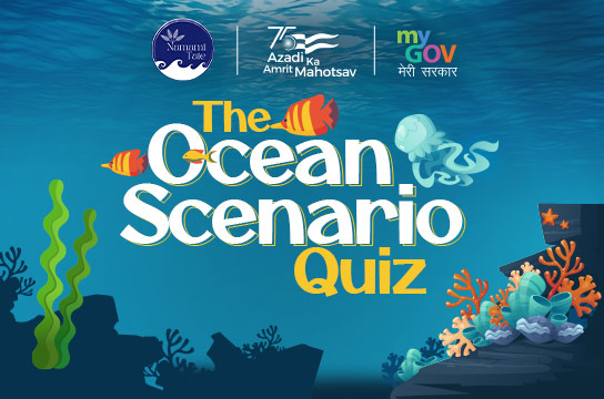 The Ocean Scenario Quiz