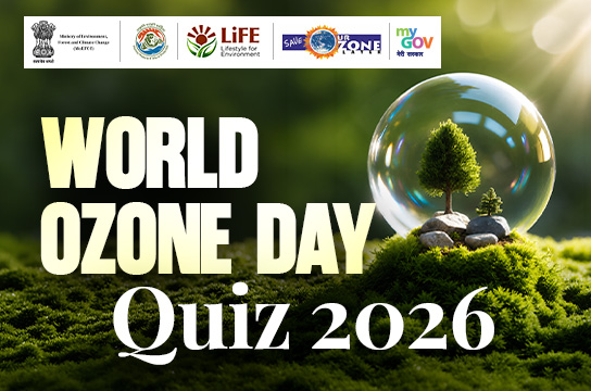 Quiz Banner