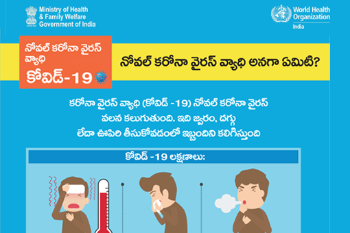 What is Novel Coronavirus -Telugu