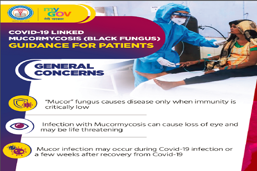 Black Fungus Guidance