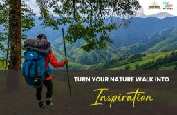 Turn Your Nature Walk into Inspiration