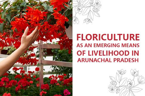 Floriculture as an emerging means of livelihood in Arunachal Pradesh