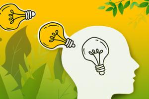 Control soil erosion by planting indigenous trees Control soil erosion by planting indigenous trees