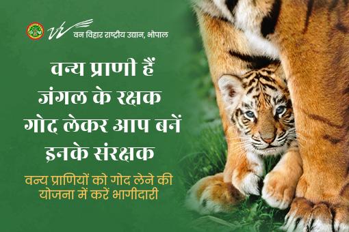 Give suggestions for better conservation of wildlife