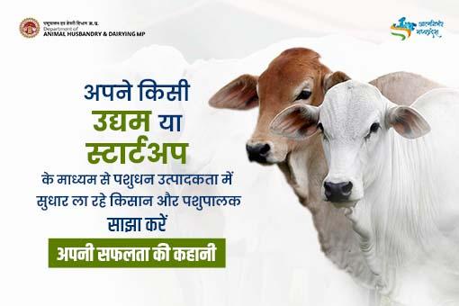 Department of Animal Husbandry & Dairying | Mera Madhya Pradesh