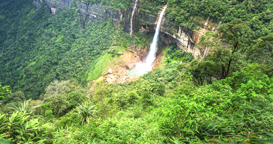 Green India