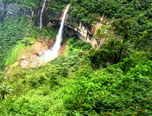 Image of Green India