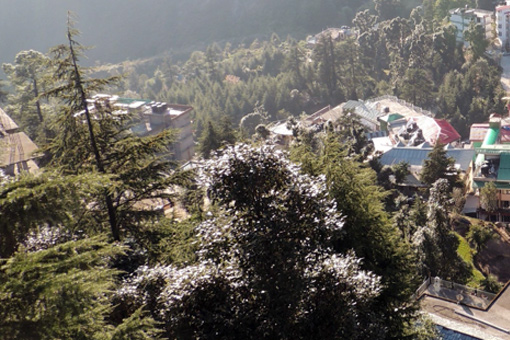 Image of Citizens Engagement in Dharamshala