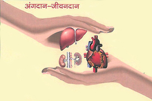 Image of Announcing the Results of the National Level Competition for Creation of Logo, Background of Donor card & Slogan Writing on Organ Donation