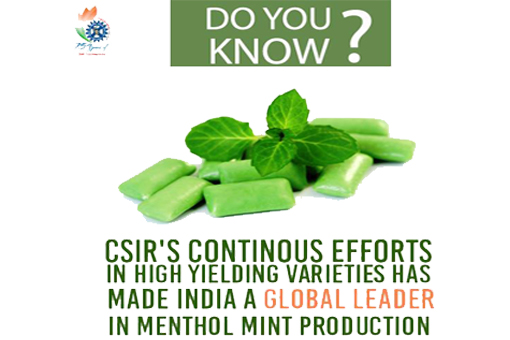 Image of Menthol Mint Spreads the Smell of CSIR’s Success
