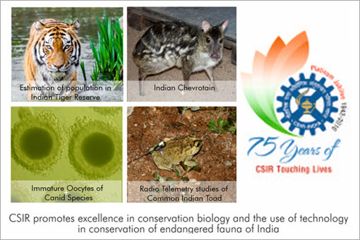 Image of CSIR Takes Steps for Nurturing Nature