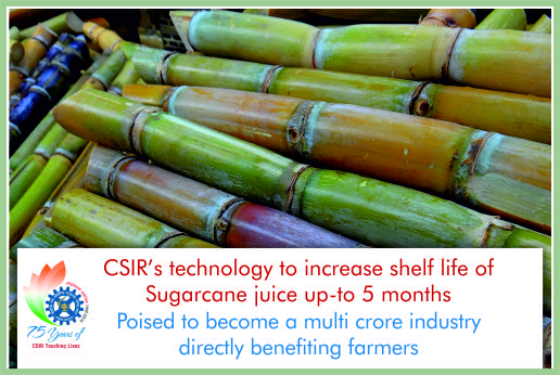 Image of CSIR technology aids sugarcane juice preservation — India’s answer to sugary soft drinks