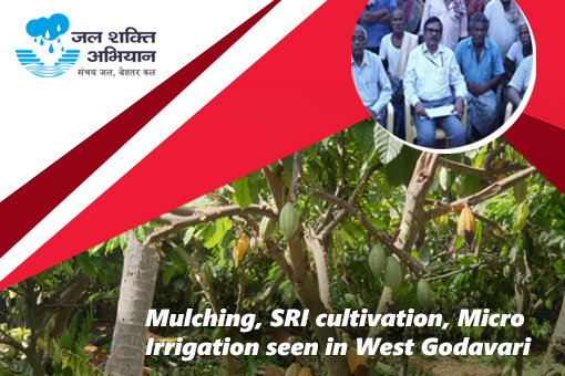 Image of Mulching, SRI cultivation, Micro Irrigation seen in West Godavari