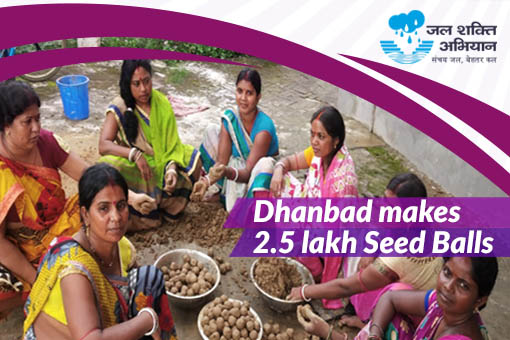 Image of Dhanbad makes 2.5 lakh Seed Balls