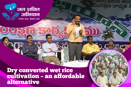 Image of Dry converted wet rice cultivation – an affordable alternative