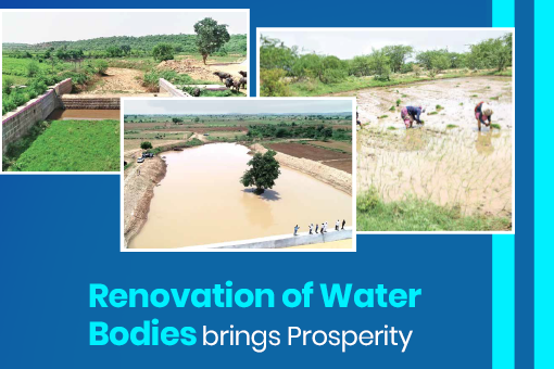 Image of Renovation of water bodies brings prosperity