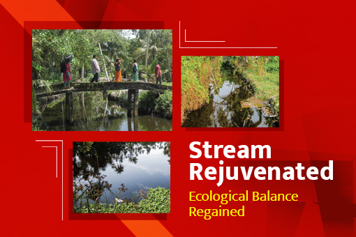 Image of Stream rejuvenated -Ecological balance regained