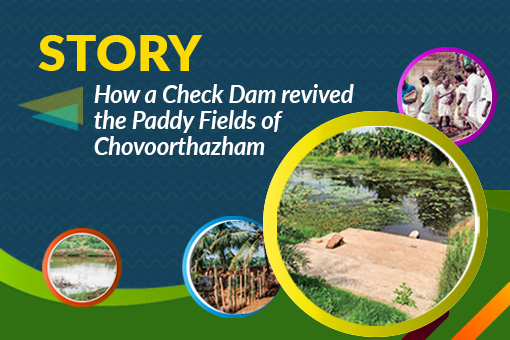 Image of Story of how a Check Dam revived the Paddy fields of Chovoorthazham
