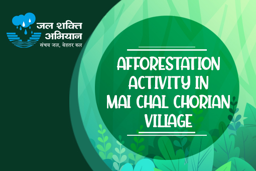Image of Afforestation activity in Mai Chal Chorian village