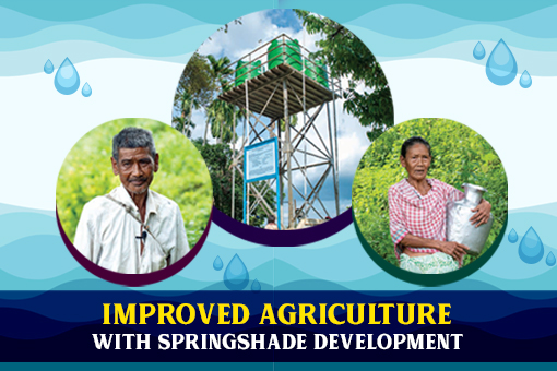 Image of Improved Agriculture with Springshade Development