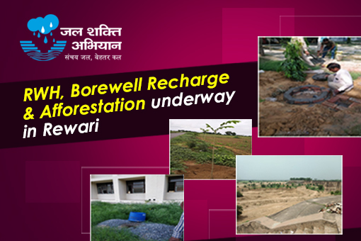 Image of RWH, Borewell Recharge, Afforestation underway in Rewari