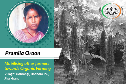 Image of Overcoming poverty through Organic farming – Pramila Oraon