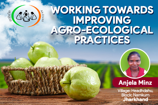 Image of One woman’s quest for Organic farming – Anjela Minz