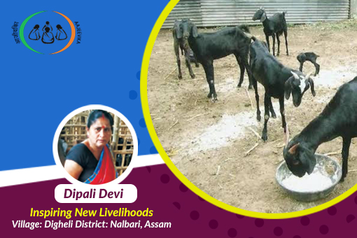 Image of Insuring livestock for livelihoods – Dipali Devi