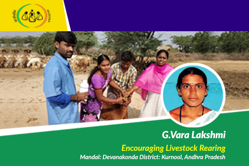 Image of Feed your livestock the way they feed your family – G.Vara Lakshmi