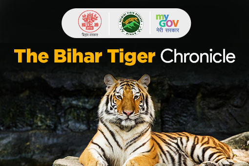 Image of The Bihar Tiger Chronicle