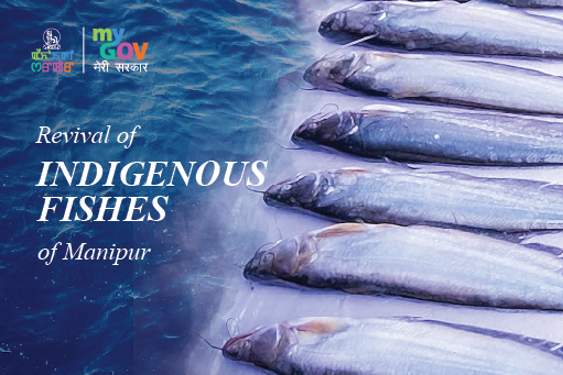 Image of Revival of Indigenous Fishes of Manipur