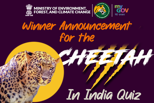 Image of Winner Announcement for The Cheetah In India Quiz